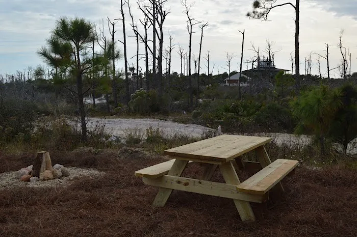 Salty Turtle RV 2