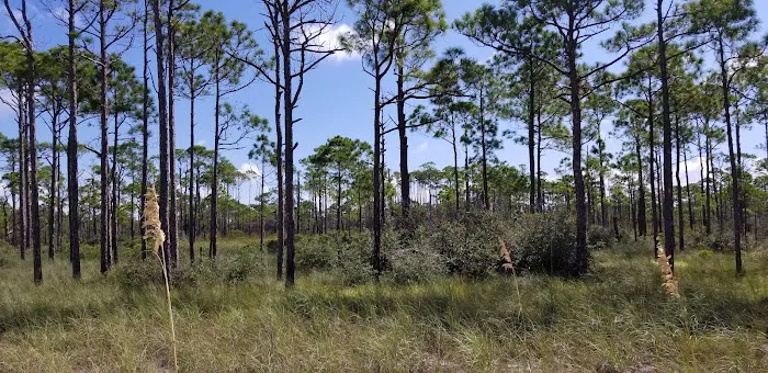 Gap Point Primitive Campsites 10