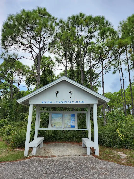 Saint George Island State Campground 2