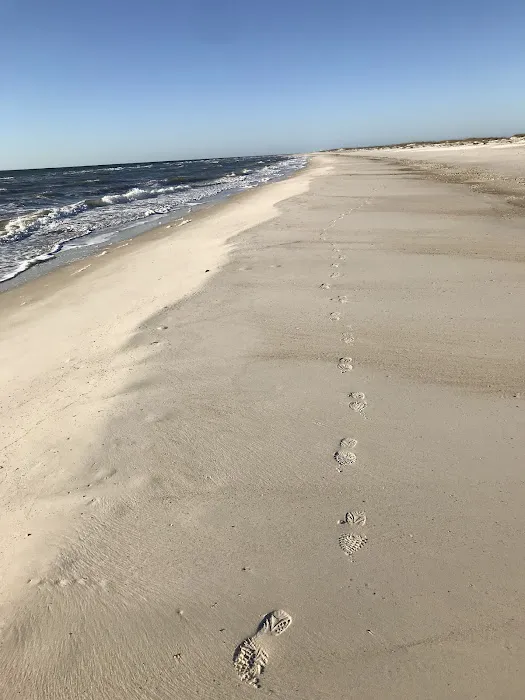 Saint George Island State Campground 4