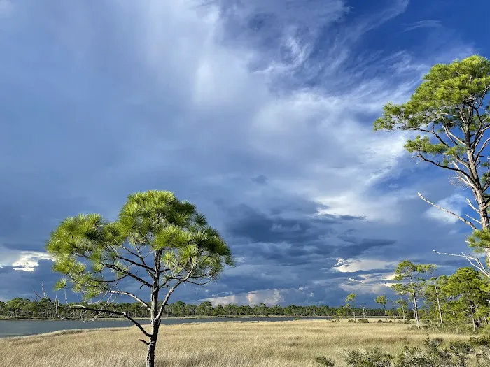 Saint George Island State Campground 7