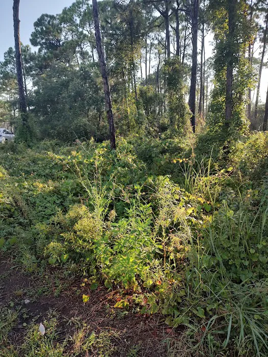 Saint George Island State Campground 10