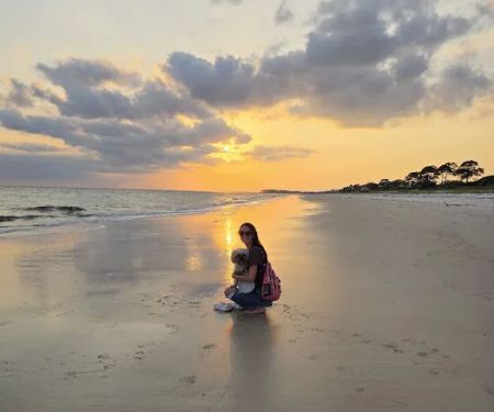 Alligator Point Access