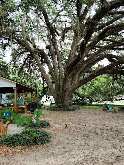 Campus Colony Mobile Home Park 2