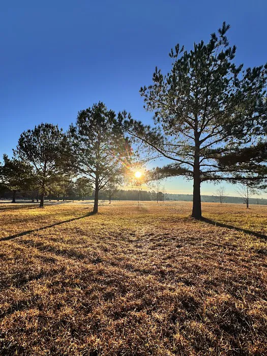 Cedar Grove Campground 3