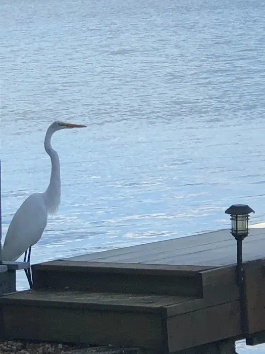 Six Pier Landing 9