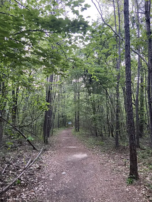Swayback Campground 6