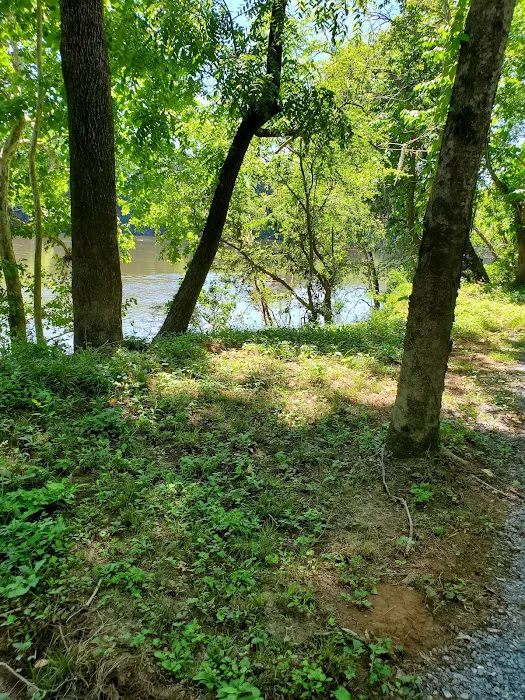 Camp Sherrye on the Coosa 6
