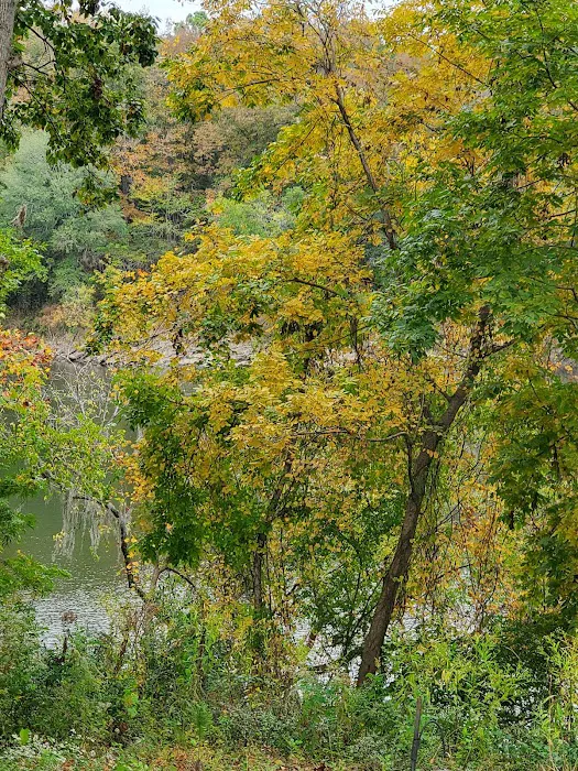Camp Sherrye on the Coosa 9
