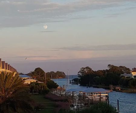 Paradise Village Home Owners