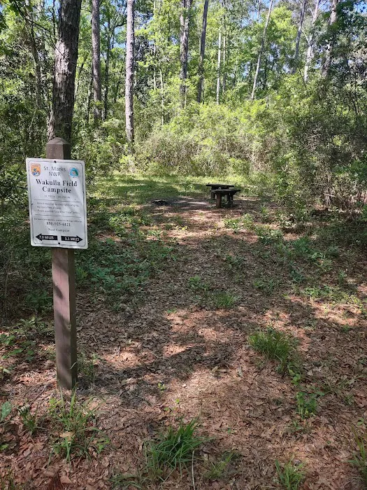 Wakulla Field Campsite 1
