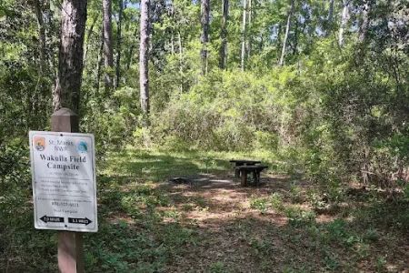 Wakulla Field Campsite