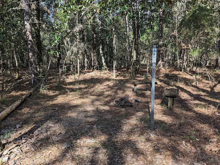 Wakulla River Campsite 1