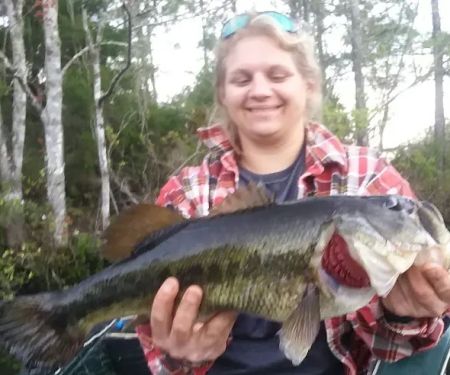 St Marks Powder Campground