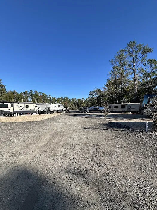 Shell Island Fish Camp 4