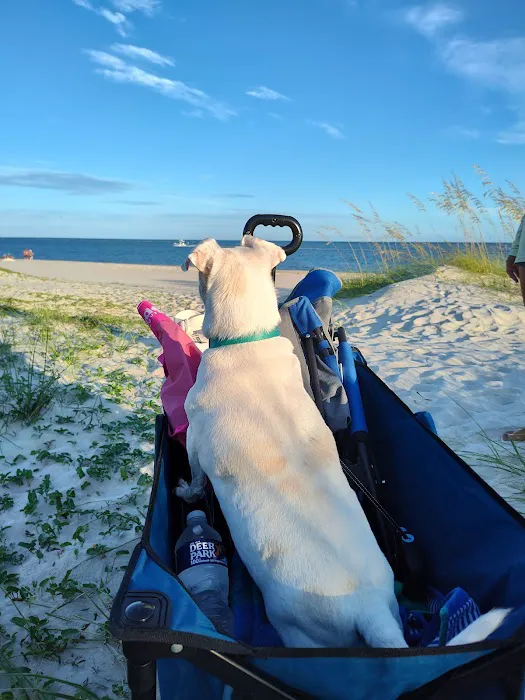 Coastal Soul RV Beach Retreat 10