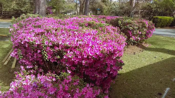 Tallahassee RV Park 10