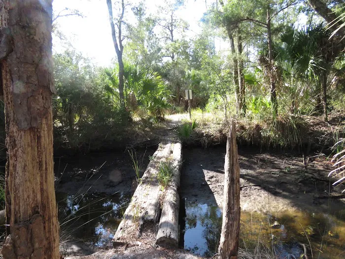 Pinhook River Campsite 1