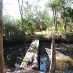 Pinhook River Campsite