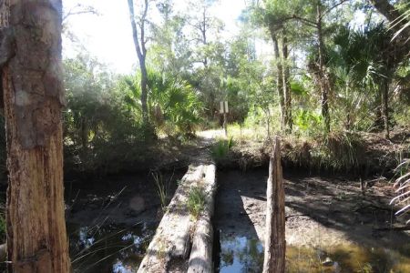 Pinhook River Campsite