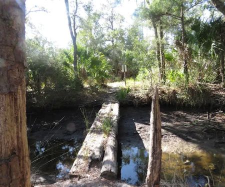 Pinhook River Campsite