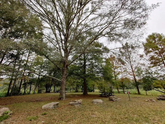 Goose Pasture Campground 5