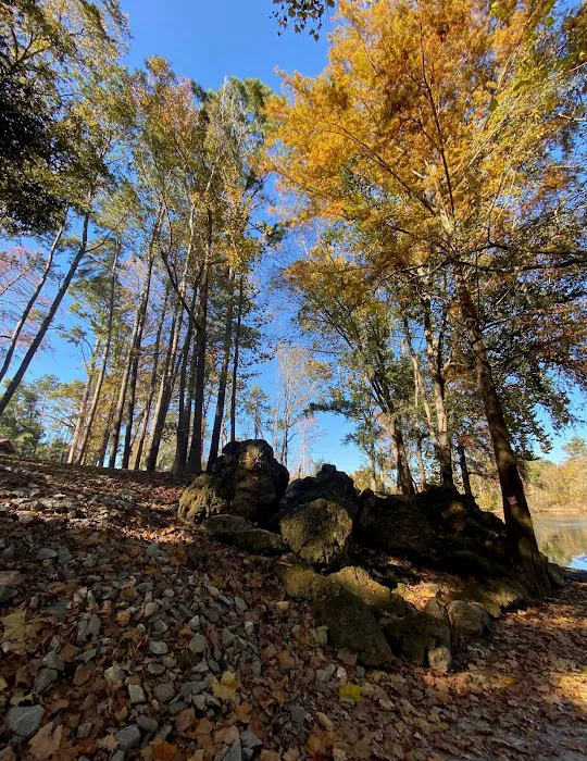 Rocky Bend Flint River Retreat 4