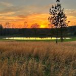 Whispering Acres