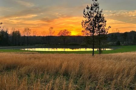 Whispering Acres