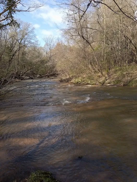 Tuskegee National Forest Campsite #1 3