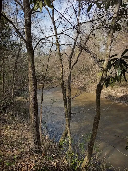 Tuskegee National Forest Campsite #1 2