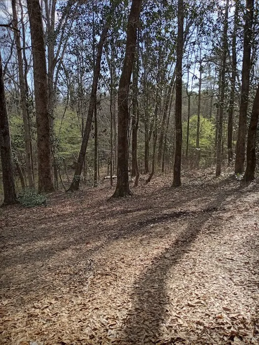 Tuskegee National Forest Campsite #1 1