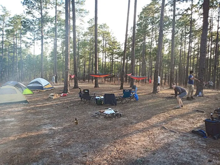 Tuskegee National Forest Campsite 12 1