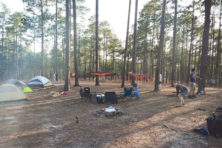 Tuskegee National Forest Campsite 12