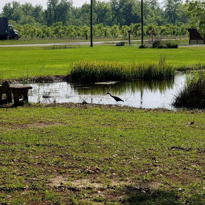 CreekSide RV Park & Campground 8