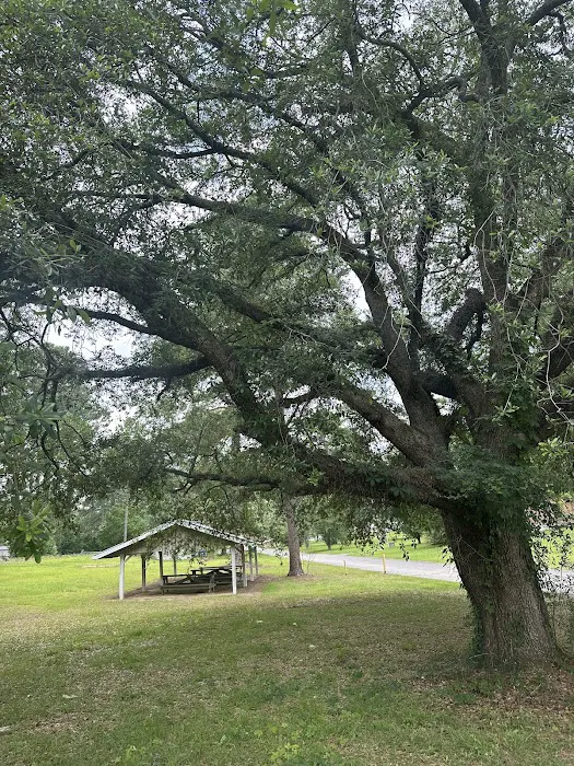 Burnt-Tree Park Inc 2