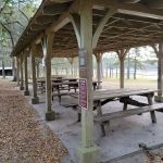 Reed Bingham State Park - Campground