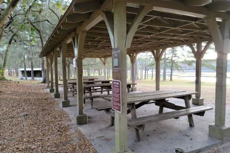 Reed Bingham State Park - Campground