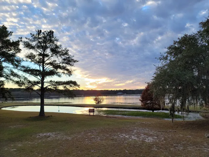 Reed Bingham State Park - Campground 4