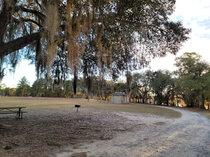Reed Bingham State Park - Campground 2