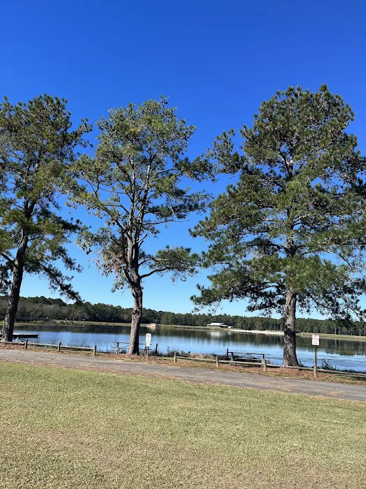 Reed Bingham State Park - Campground 3