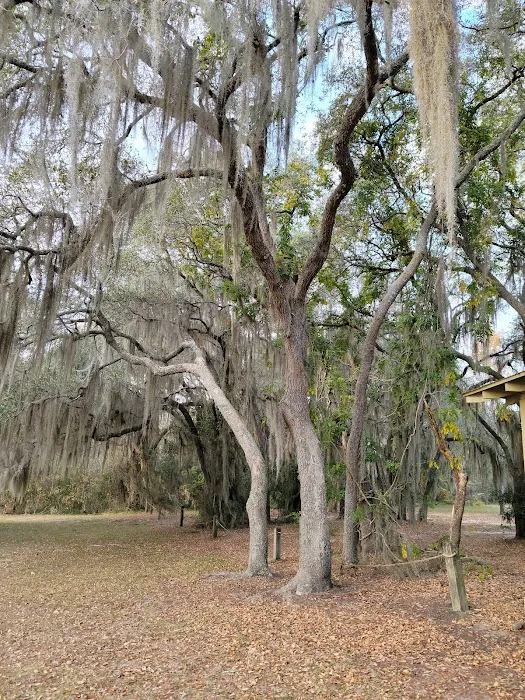 Reed Bingham State Park - Campground 5