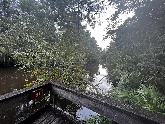 Reed Bingham State Park - Campground 7