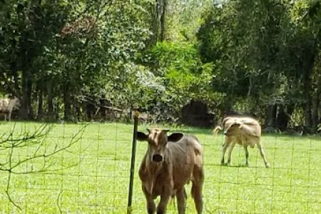 Piddlers Ridge Long-term RV Park