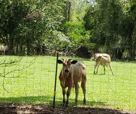 Piddlers Ridge Long-term RV Park