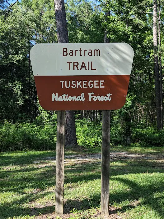 Tuskegee National Forest Campsite #11 3