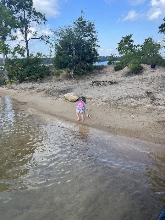 Cheeseburger Island 1