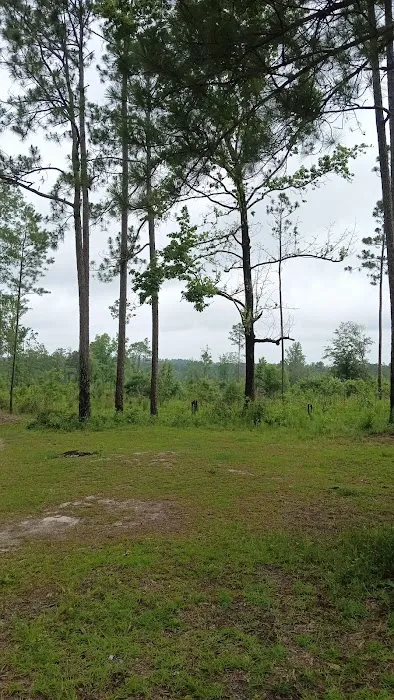 Tuskegee NF Tent Site #6 3