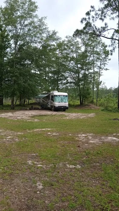 Tuskegee NF Tent Site #6 1