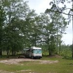 Tuskegee NF Tent Site #6